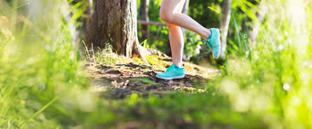Young woman run in summer the forest in sunset lightsの写真素材