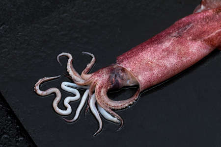Fresh raw seafood squid with on black slate backgroundの写真素材