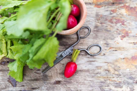 Fresh heap of radish vegetables on wooden background
