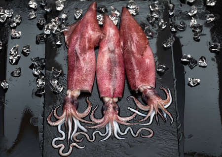 Fresh raw seafood squid with crushed ice on black slate backgroundの写真素材