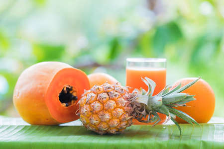 Tropical exotic pineapple and papaya fruits with glass smoothie shake juice drink outdoors with palm leavesの写真素材