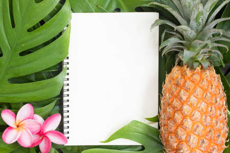 Tropical top view summer botanical concept still life white frame notebook and pineappleの写真素材