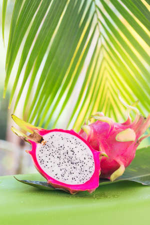 Fresh, tasty tropic, exotic dragon pitahya dragon fruit near palmsの写真素材