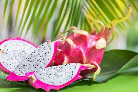 Fresh, tasty tropic, exotic dragon pitahya dragon fruit near palmsの写真素材