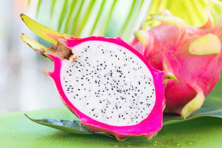 Fresh, tasty tropic, exotic dragon pitahya dragon fruit near palmsの写真素材