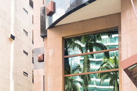 Reflectrion of tropical palm trees in glass windows of building