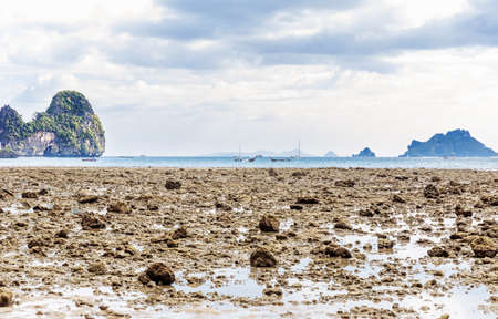 Popular travel tropical karst rocks perfect for climbing Tonsai low tide water beach, Krabi province, Thailandの写真素材