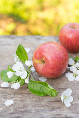 Fresh sweet juicy red apples with flowers on a woodenの写真素材