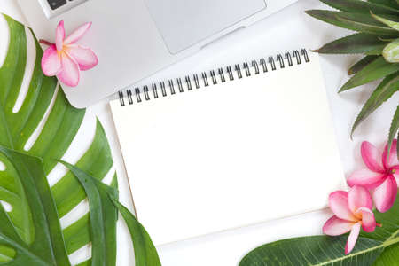 Tropical top view summer botanical concept still life laptop notebook frame with monstera liana, vine, palm leaves and plumeria frangipani flower flat lay layoutの写真素材