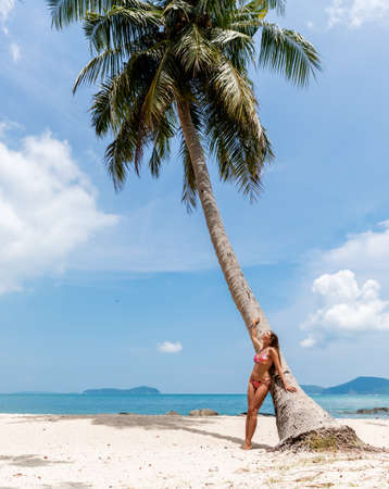 Young slim woman near palm on a white tropical beachの写真素材