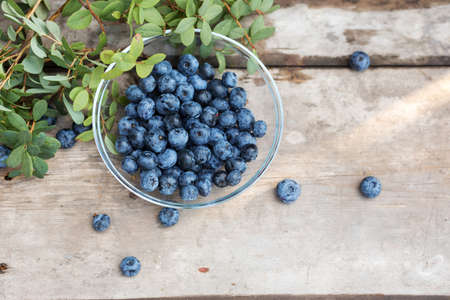 Fresh raw blueberries with leaves on wooden  in garden. Organic bilberry raw food.の写真素材