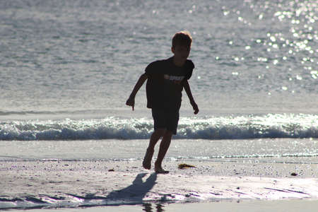 beach pictures taken in siesta key, floridaのeditorial素材