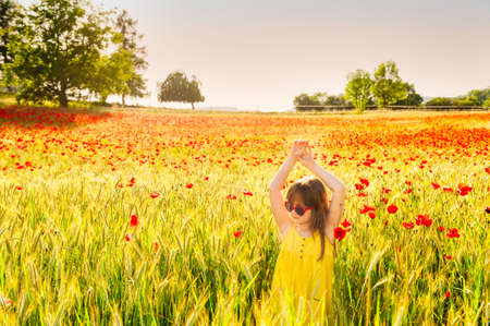 Summer portrait of a cute little girl playing in a pooppy field on sunset, wearing yellow dressの写真素材