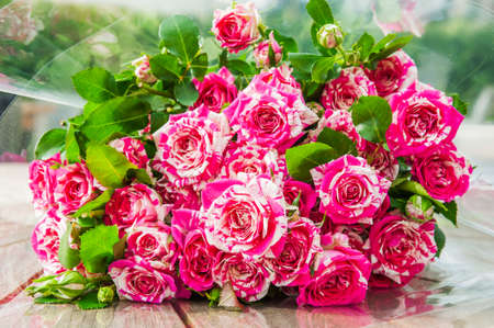 Beautiful purple tiger roses (floribunda) on a wooden backgroundの写真素材