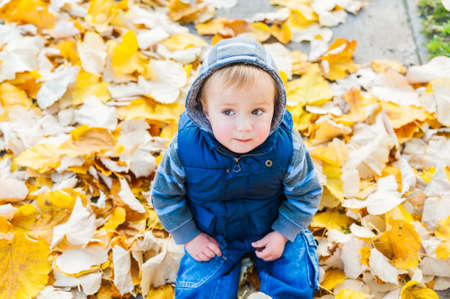 Autumn portrait of a cute toddler boyの写真素材