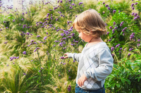 Adorable toddler boy playing in a garden, wearing grey pulloverの写真素材