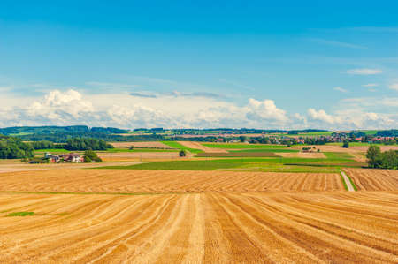 Harvested wheat field in the end of summerの写真素材