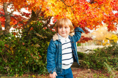 Autumn portrait of a cute toddler boy, wearing denim coat and warm pullover, playing with bright maple leavesの写真素材