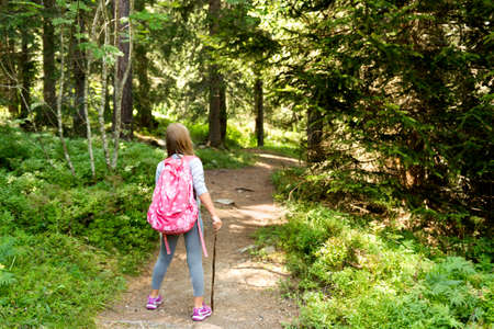 Little hiker girl in forest. Photo from Champex-Lac, Valais, swiss Alps, back view