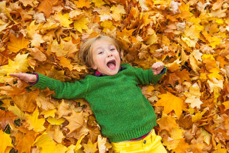 Autumn portrait of a cute little boy of 4 years old, playing with yellow leaves in the park, wearing...