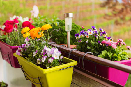 Colorful flowers in pots on the balconyの写真素材