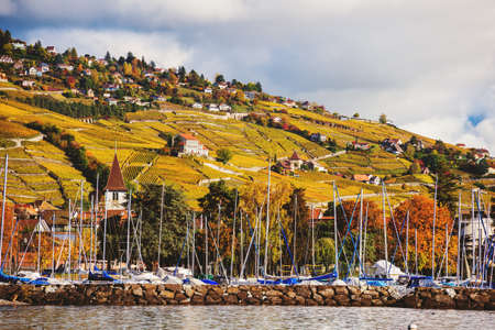 Autumn landscape of Lake Geneva, Lavaux vineyards, Switzerlandの写真素材