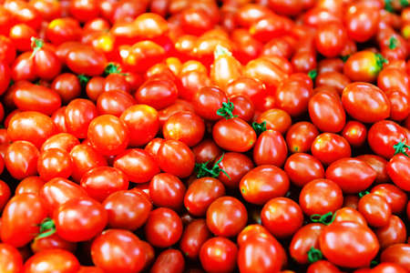 Freshly harvested tomatoes on farm marketの写真素材