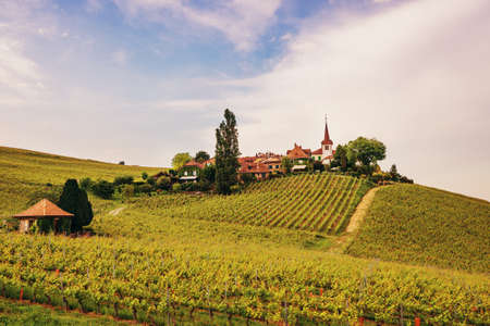Small medieval town on the top of the hill between Lavaux vineyards, Switzerlandの写真素材