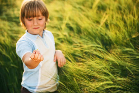 Sweet little boy playing in wheat field at sunset in summertime. Kid showing small grainの写真素材