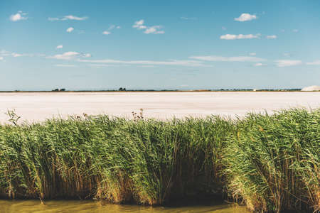 Aigues-Mortes, Salins du Midi, colorful landscape with salt marshes
