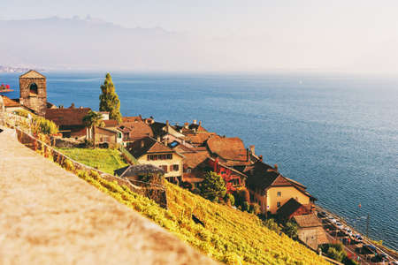Vineyard terraces at Lake Geneva in autumn, Lavaux, Vaud, Switzerlandのeditorial素材