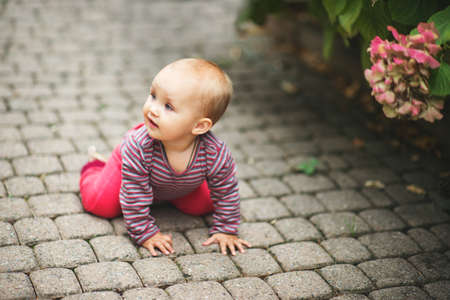 Adorable baby girl of 9-12 months old playing outside in the parkの写真素材
