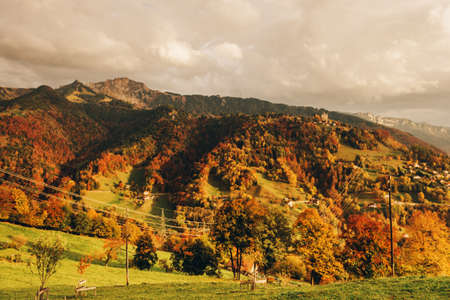 Autumn forest in mountains, image taken in canton of Vaud, Switzerlandの写真素材