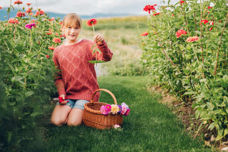 Pretty little girl working in autumn garden, child taking care of colorful chrysanthemum, gardener teenager enjoying warm and sunny dayの写真素材
