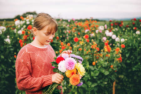 Outdoor portrait of cute little girl holding colorful bouquet of dahlia flowers, wearing fashion pulloverの写真素材