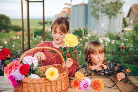 Two funny kids making chrysanthemum and dahlia flowers bouquetの写真素材