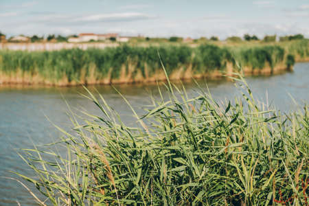 Aigues-Mortes, Salins du Midi, colorful landscape with salt marshesの写真素材
