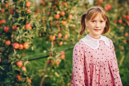 Kid girl playing in apple orchard, wearing pink vintage dress. Child holding branch of ripe red applesの写真素材