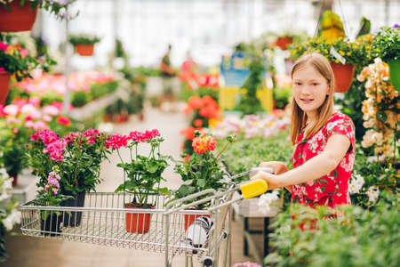 Adorable little girl choosing flowers in garden centerの写真素材
