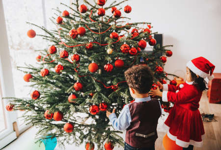 Group of two little children playing with Christmas tree at homeの写真素材