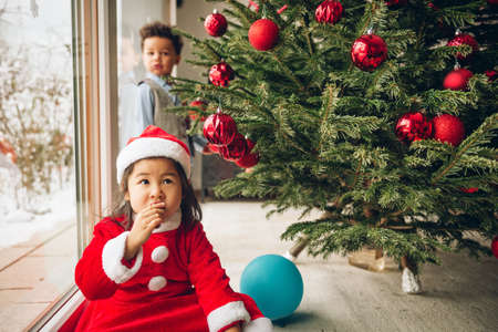 Group of two little children playing with Christmas tree at homeの写真素材