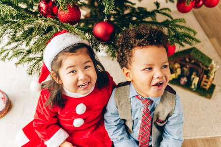 Group of two adorable 3 year old kids playing by the Christmas tree, top viewの写真素材