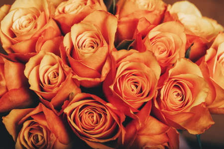 Beautiful bouquet of orange roses, close up imageの写真素材
