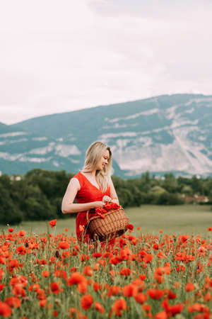 Beautiful woman with blond hair enjoying amazing view of poppy field, wearing red dress. Image taken in Geneva, Switzerlandの写真素材