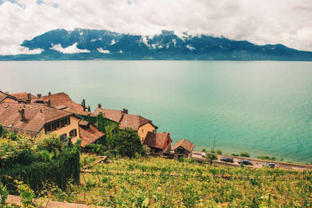 Vineyard terraces at Lake Geneva in spring, Lavaux, Vaud, Switzerland