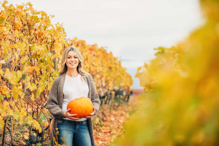 Autumn portrait of beautiful woman with blond curly hair, holding orange pumpkin, wearing knitted brown longline cardigan, posing in golden vineyardsの写真素材