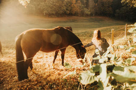 Young kid girl playing with horses in sunset lightの写真素材