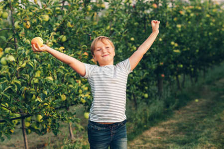 Kid boy playing in apple orchard, wearing stripe t-shirtの写真素材