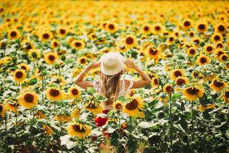 Outdoor portrait of beautiful young woman with sunflowers, health and lifestyle, arms wide open, back viewの写真素材