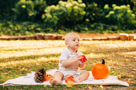 Autumn styled portrait for toddler boy, baby boy playing in sunny park with fall decoration
